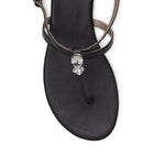 Load image into Gallery viewer, Anise
