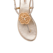 Carnation Flats