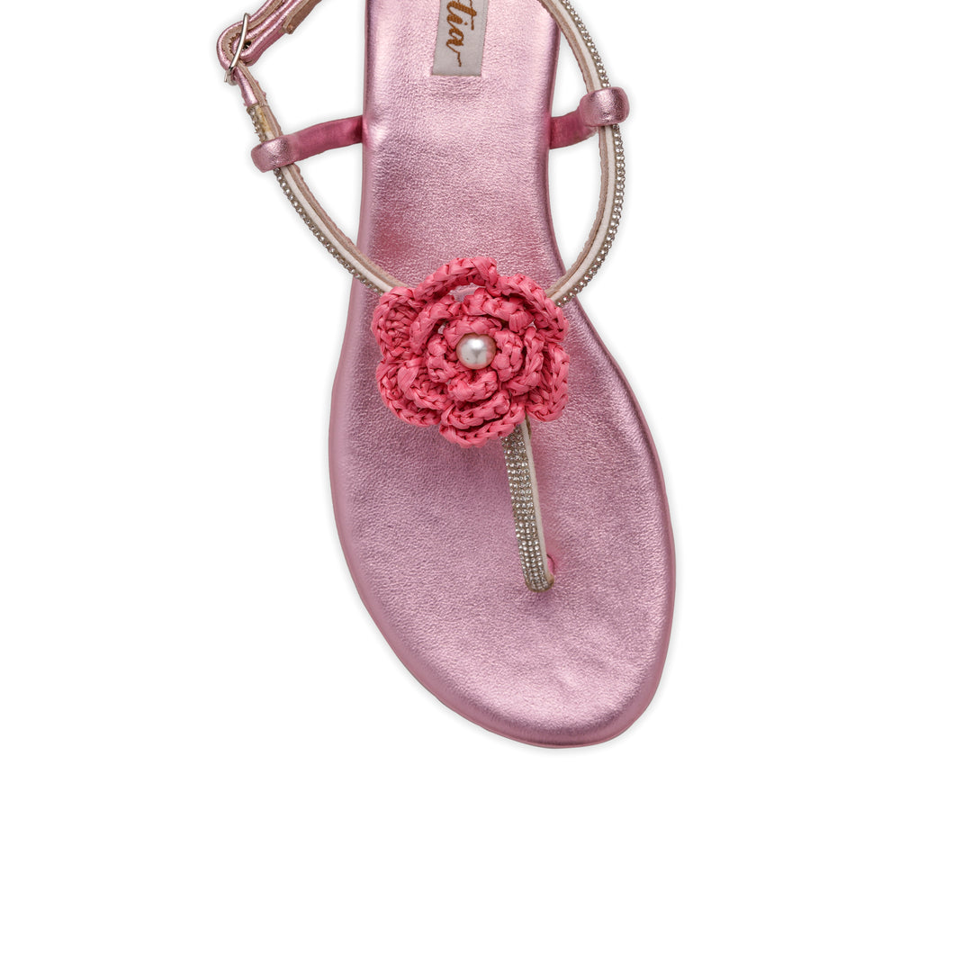 Carnation flats